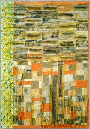 DANA – la madera que pasa flotando